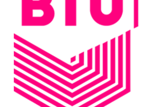 BTU კომპიუტერული მეცნიერება და ხელოვნური ინტელექტი (ბაკალავრიატი)