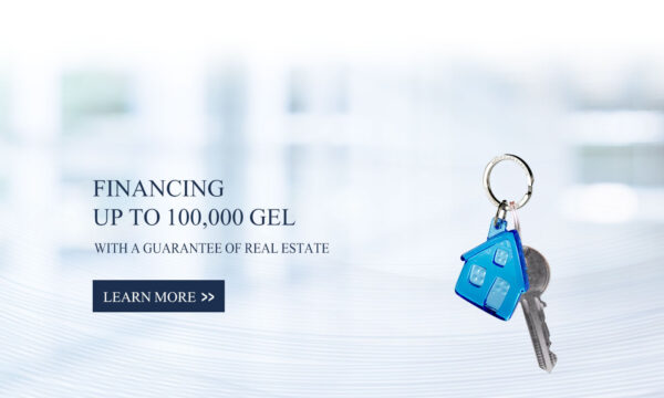 Georgian Capital Consumer Loan