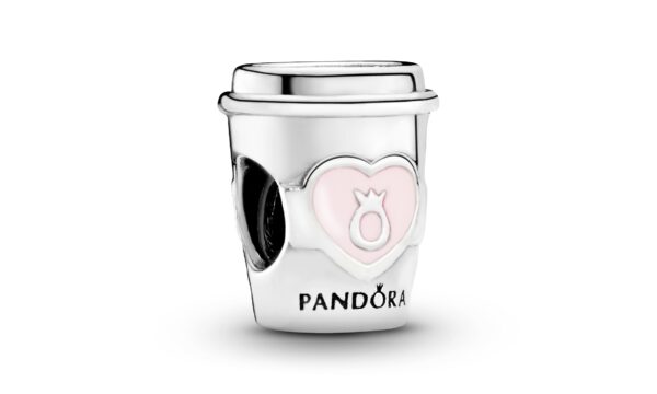 Pandora Moments Charms & Bracelets