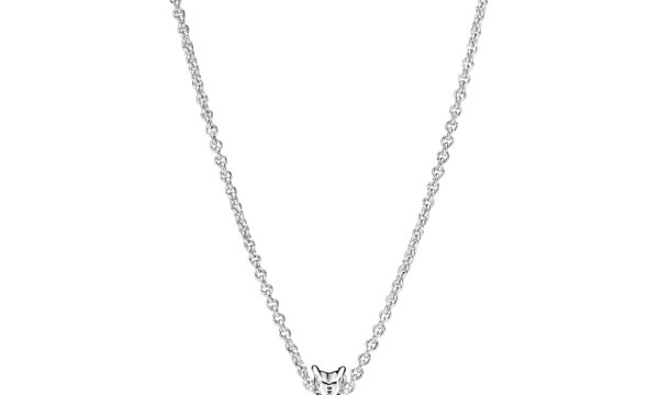 Pandora Necklaces & Earrings
