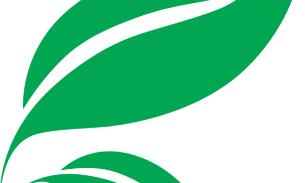 პროკრედიტის ანგარიშის პაკეტები (Start / Comfort / Premium)